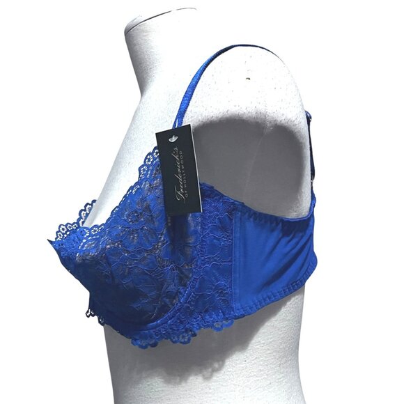 Fredericks of Hollywood NWT Sandie Demi Underwire Lace Bra Sz 42D Blue & Beige - Picture 14 of 15
